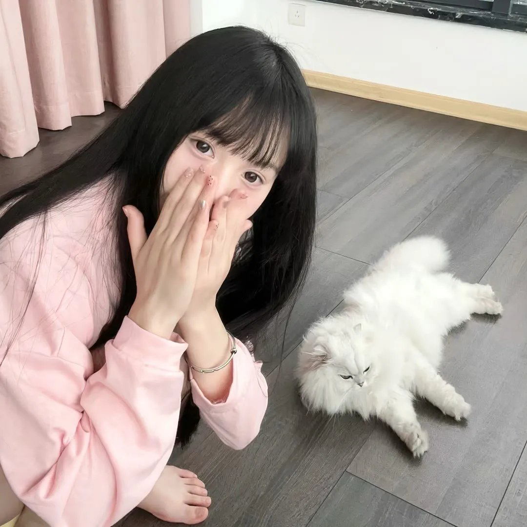 猪妖传